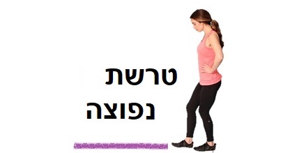 הליכה על קו ישר הליכה על קו ישר